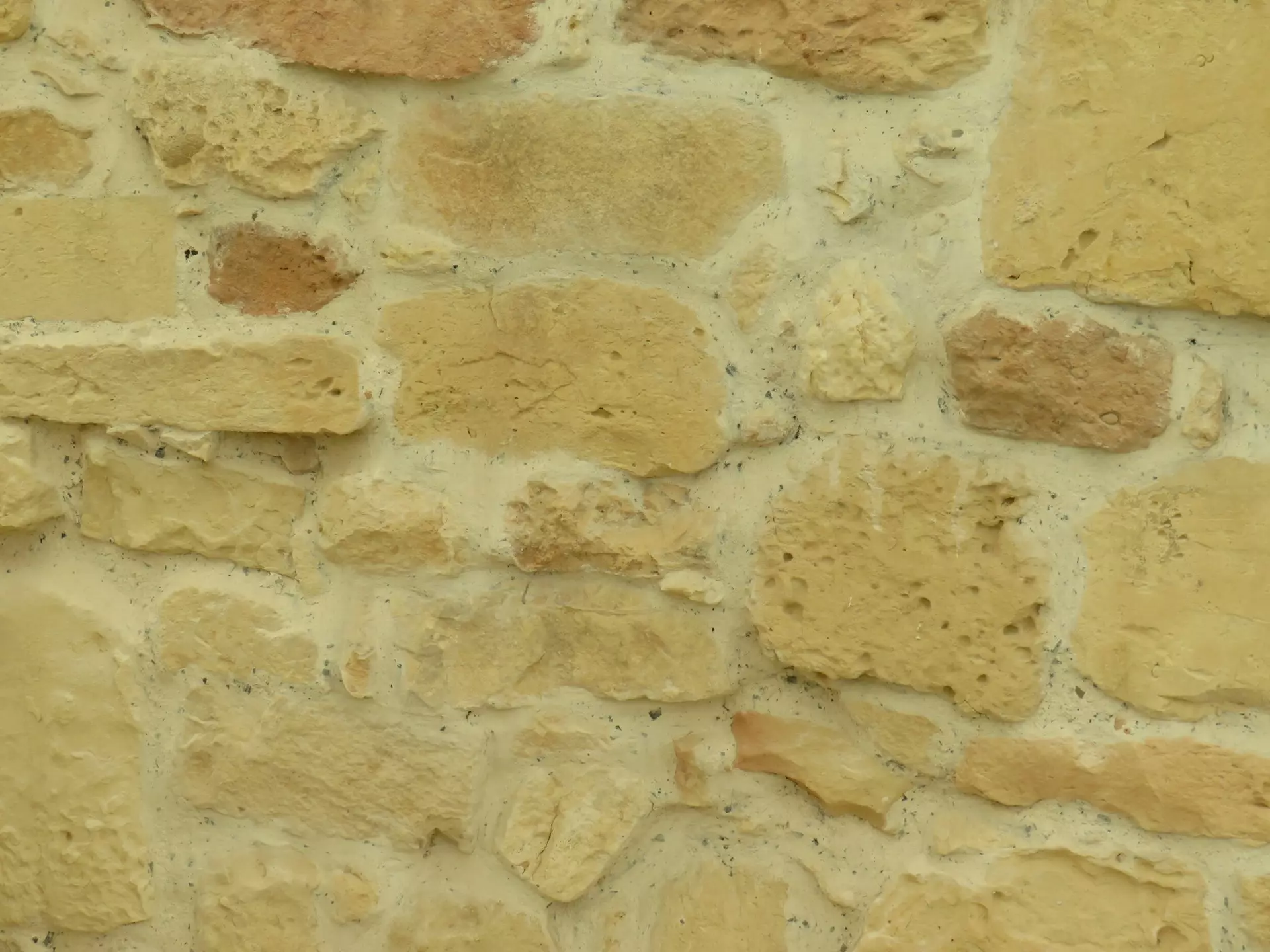 adrien antal edkQLXjgwLU unsplash.jpg