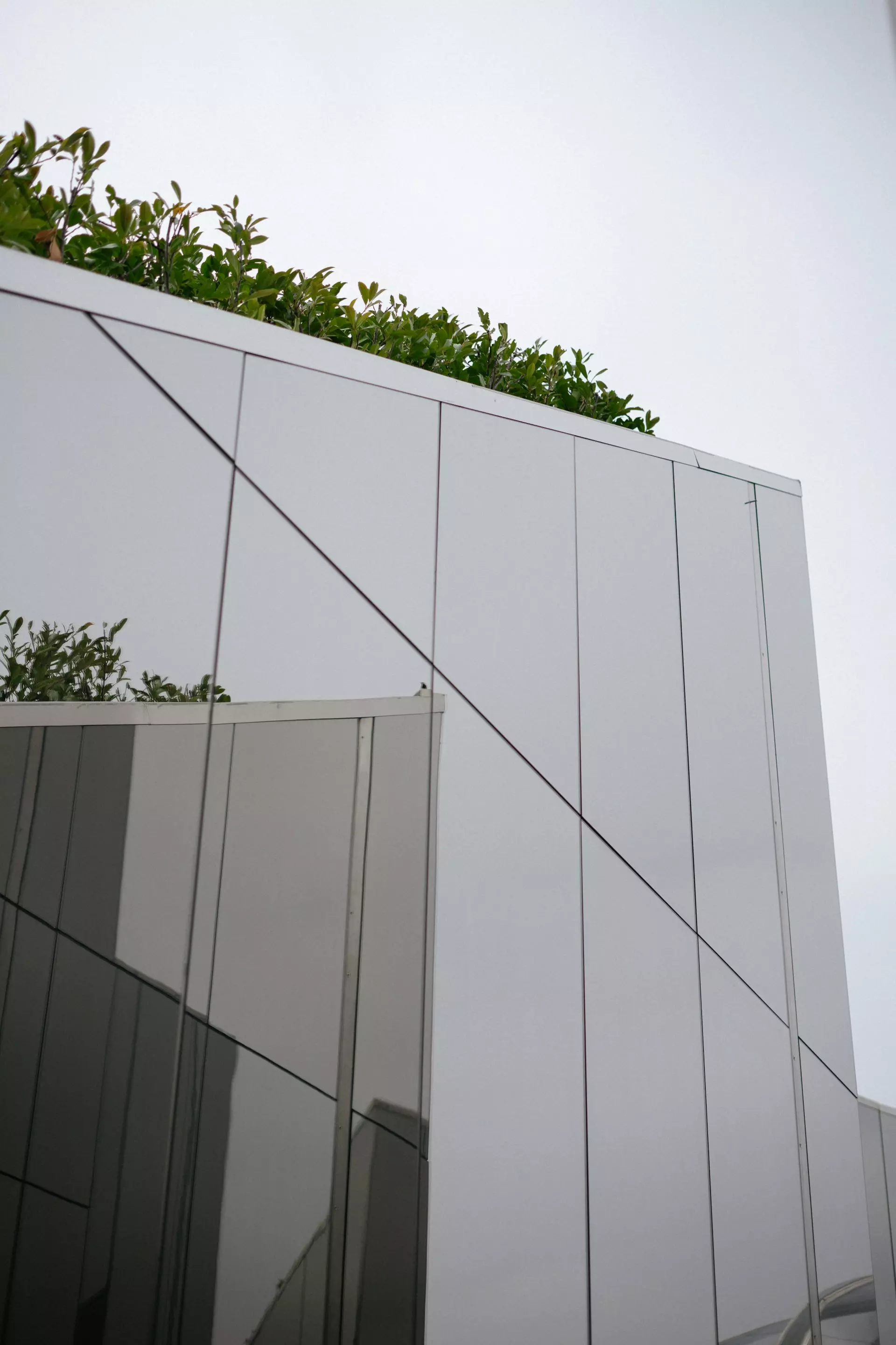 albina white  M4VcUInBCw unsplash.jpg