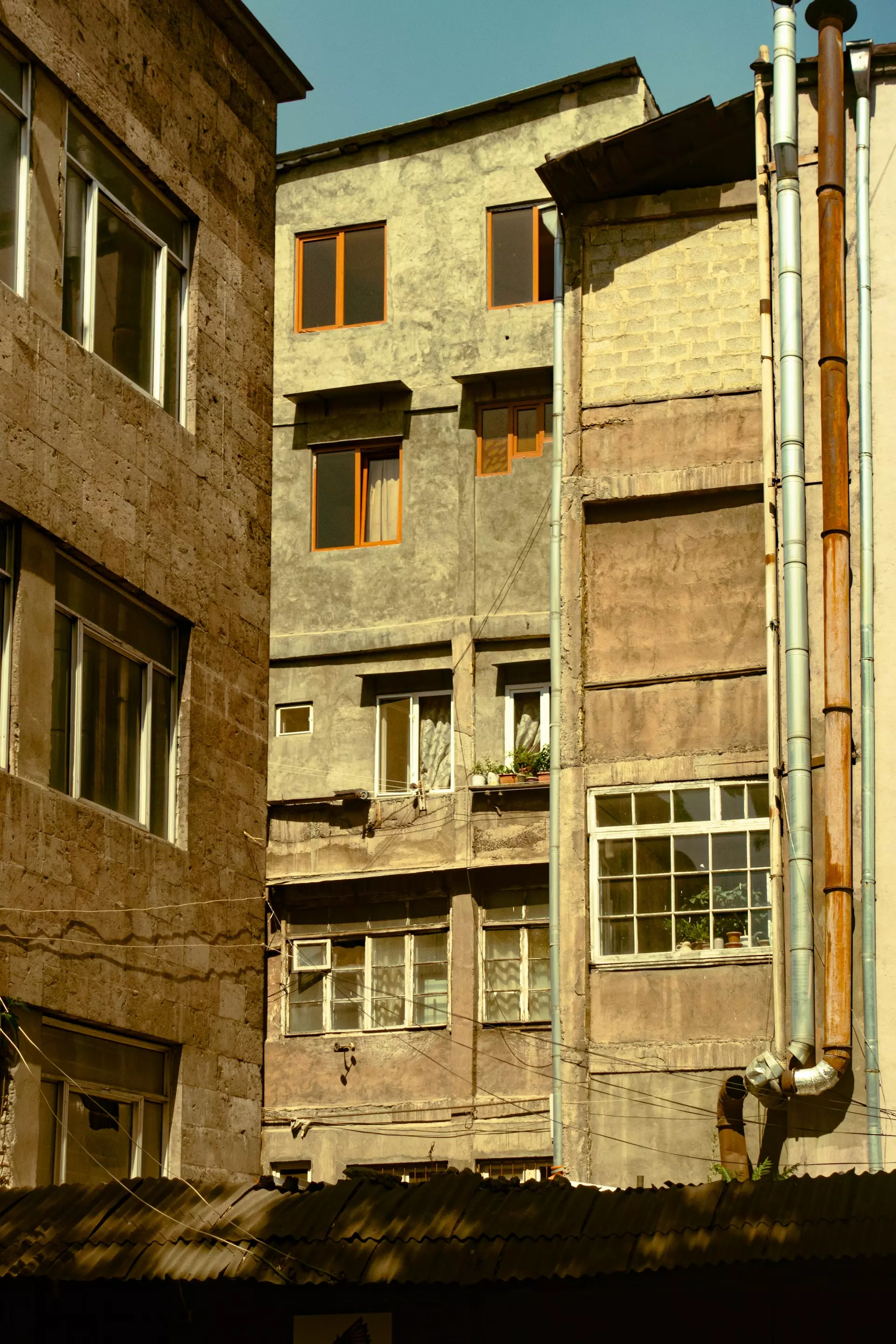 alexander starcew MwU3qUzpOs4 unsplash.jpg