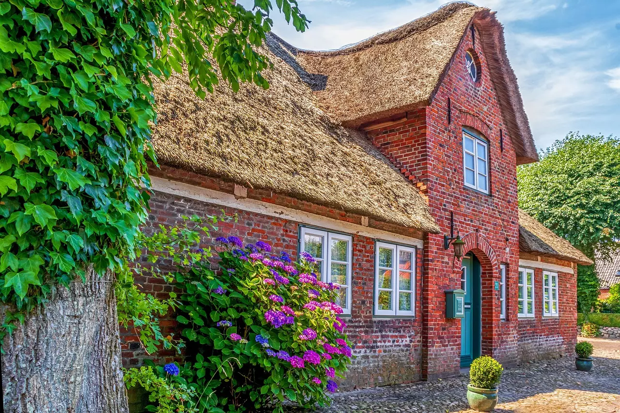 analogicus house 7100261 1280.jpg