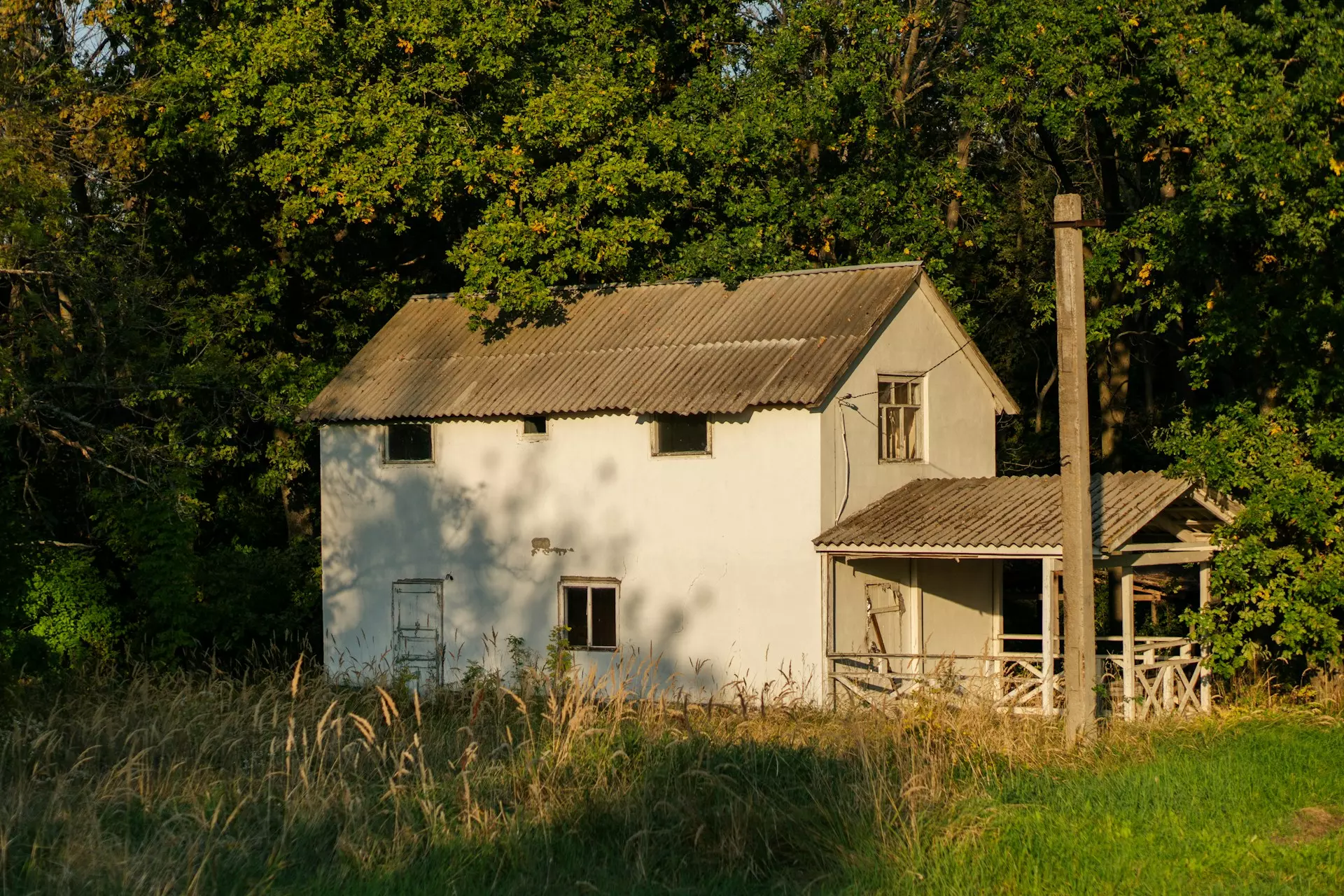 angrygrandmama g I1ffrYTe4 unsplash.jpg