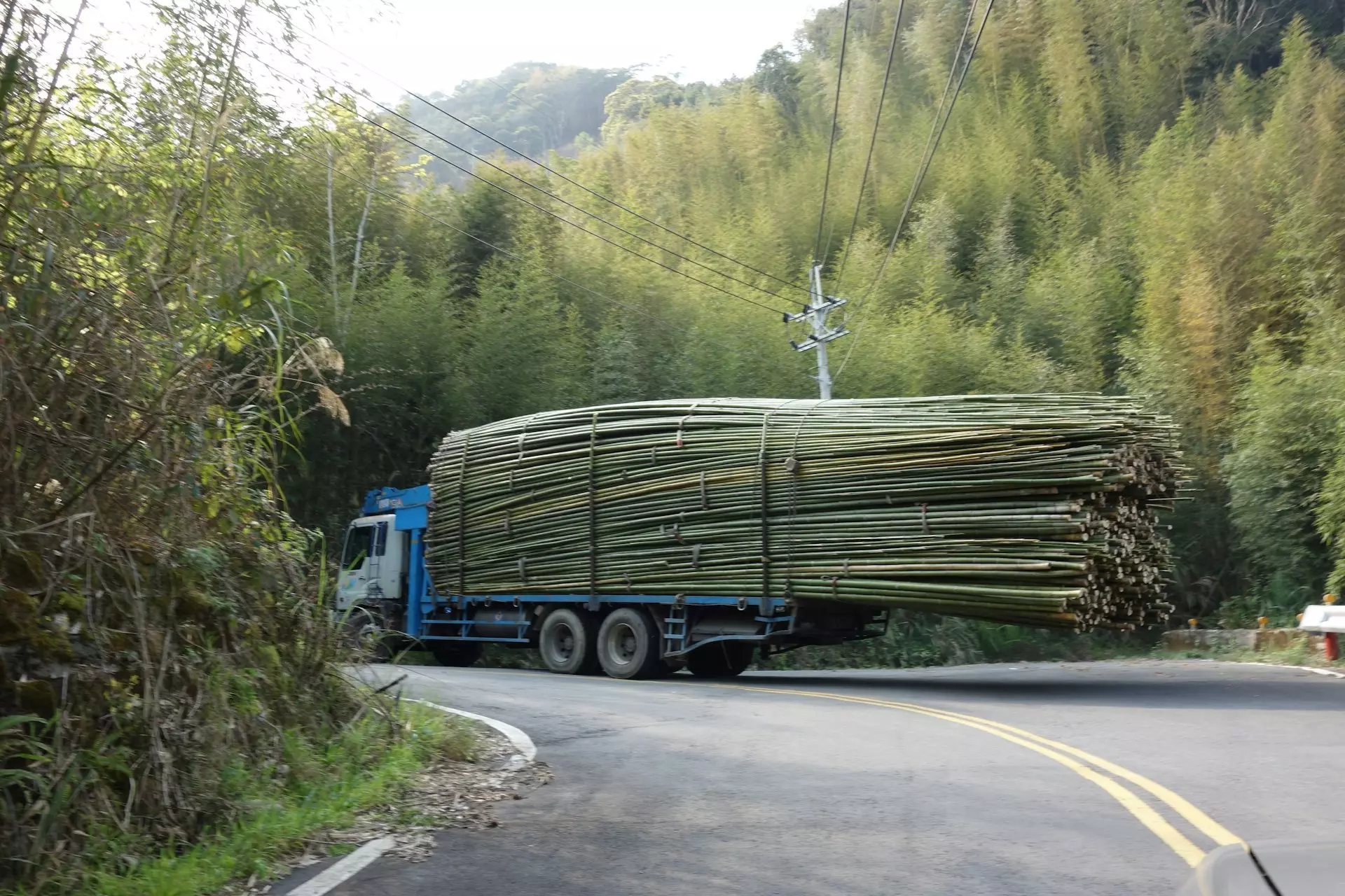 arthur tseng e2WcOAAQh6Q unsplash.jpg