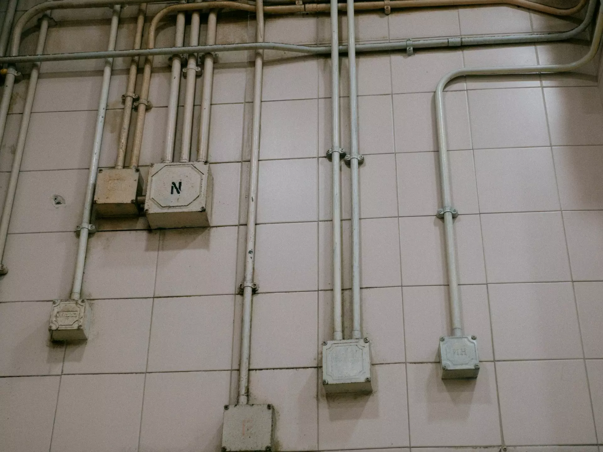 catgirlmutant xk6FjjMLCbk unsplash.jpg