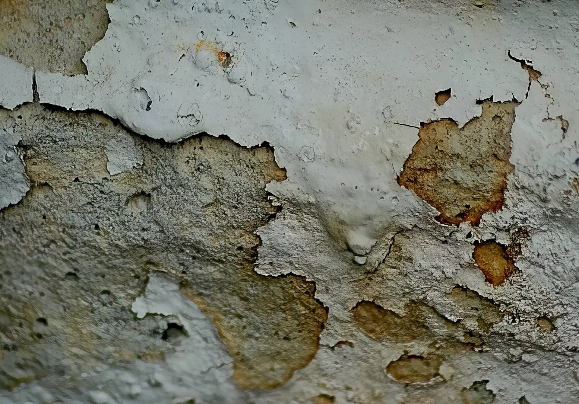 chuck underwood WcDGvJPnjQ4 unsplash.jpg