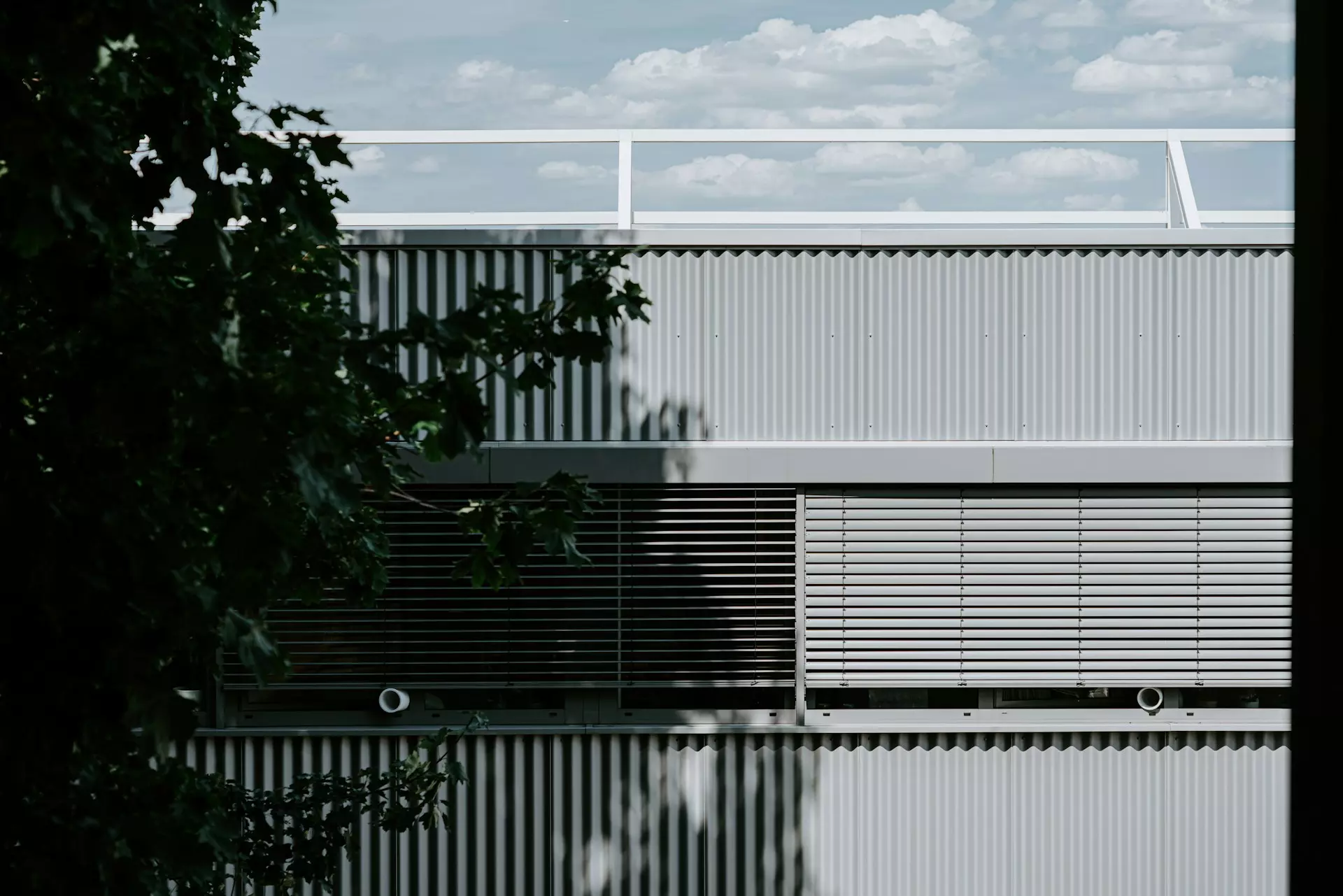 claudio schwarz nrRBG6zoaB4 unsplash.jpg