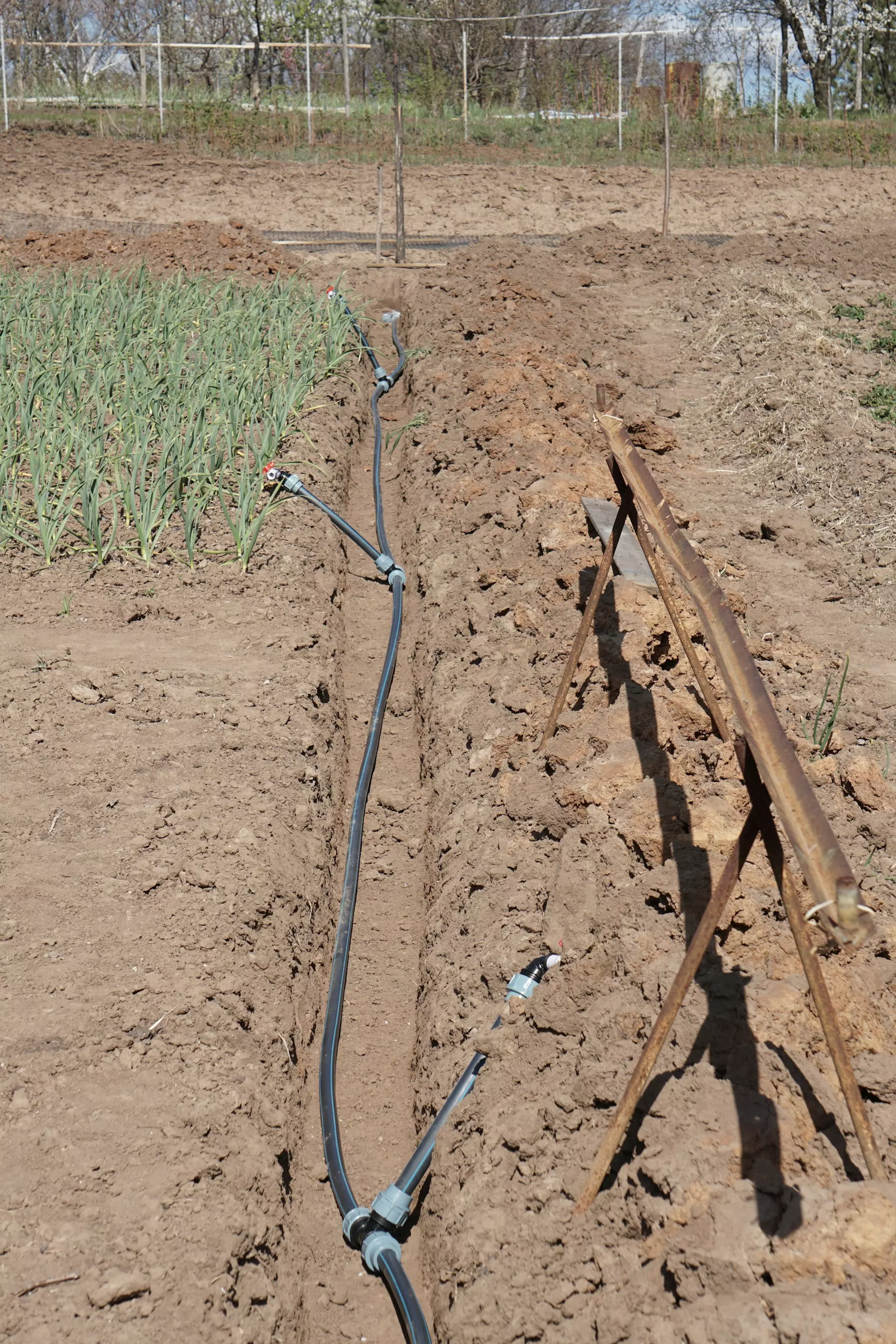 dmytro glazunov 9DRIHvfCo7g unsplash.jpg