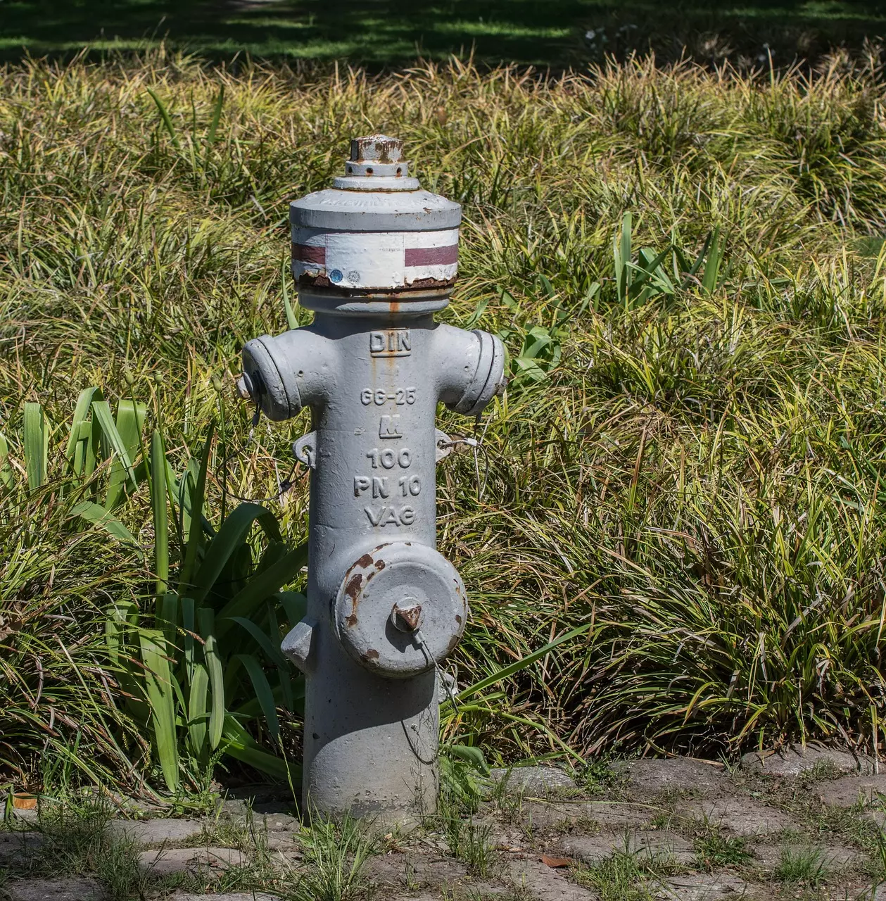 emkanicepic hydrant 3374596 1280.jpg
