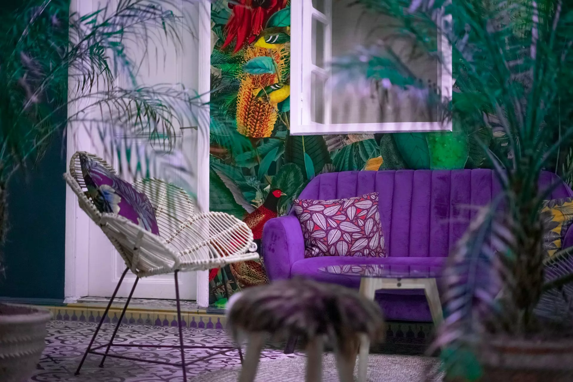 hamza nouasria hUwNri1epdU unsplash.jpg