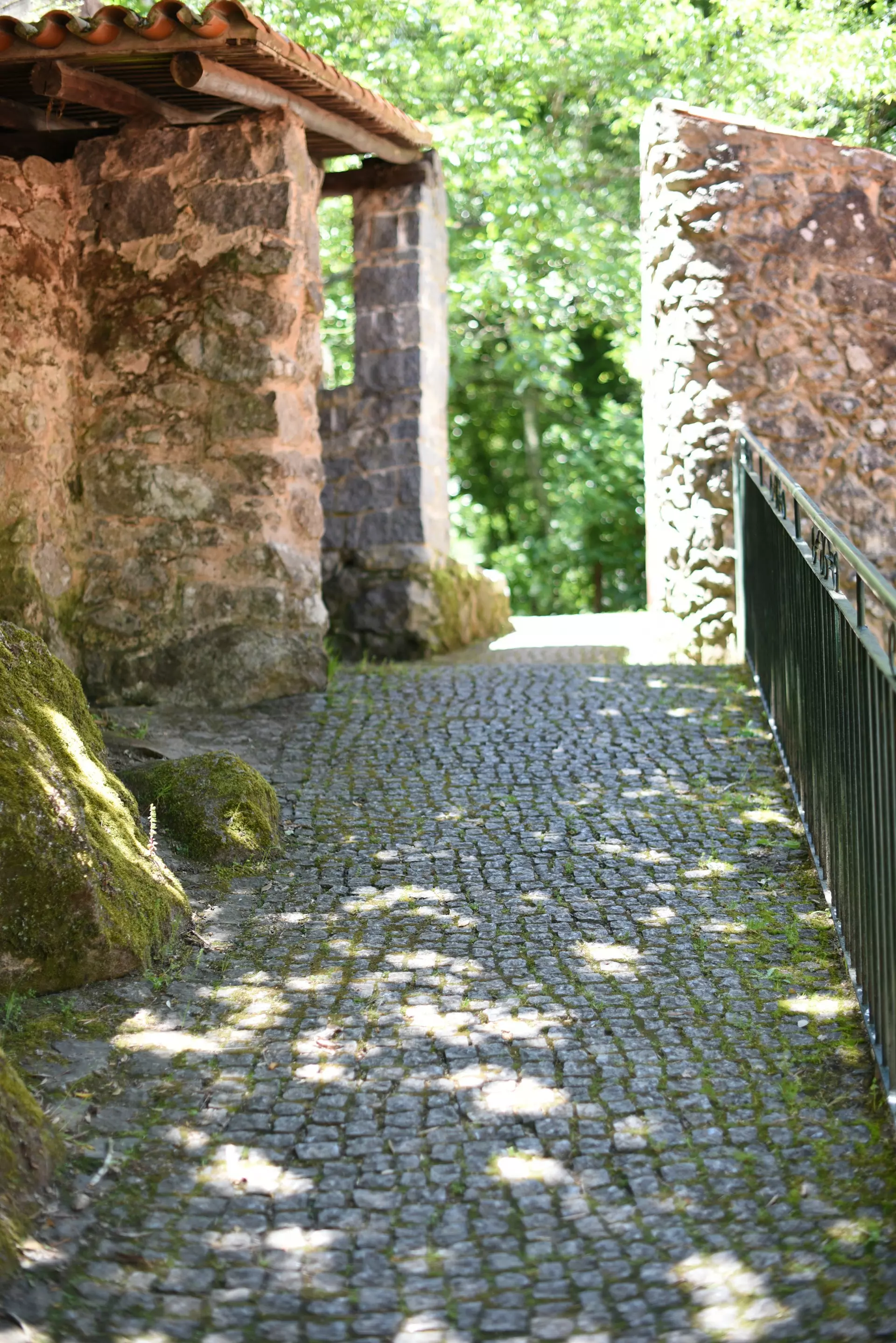 joao viegas mOzRcJn9Rpc unsplash.jpg