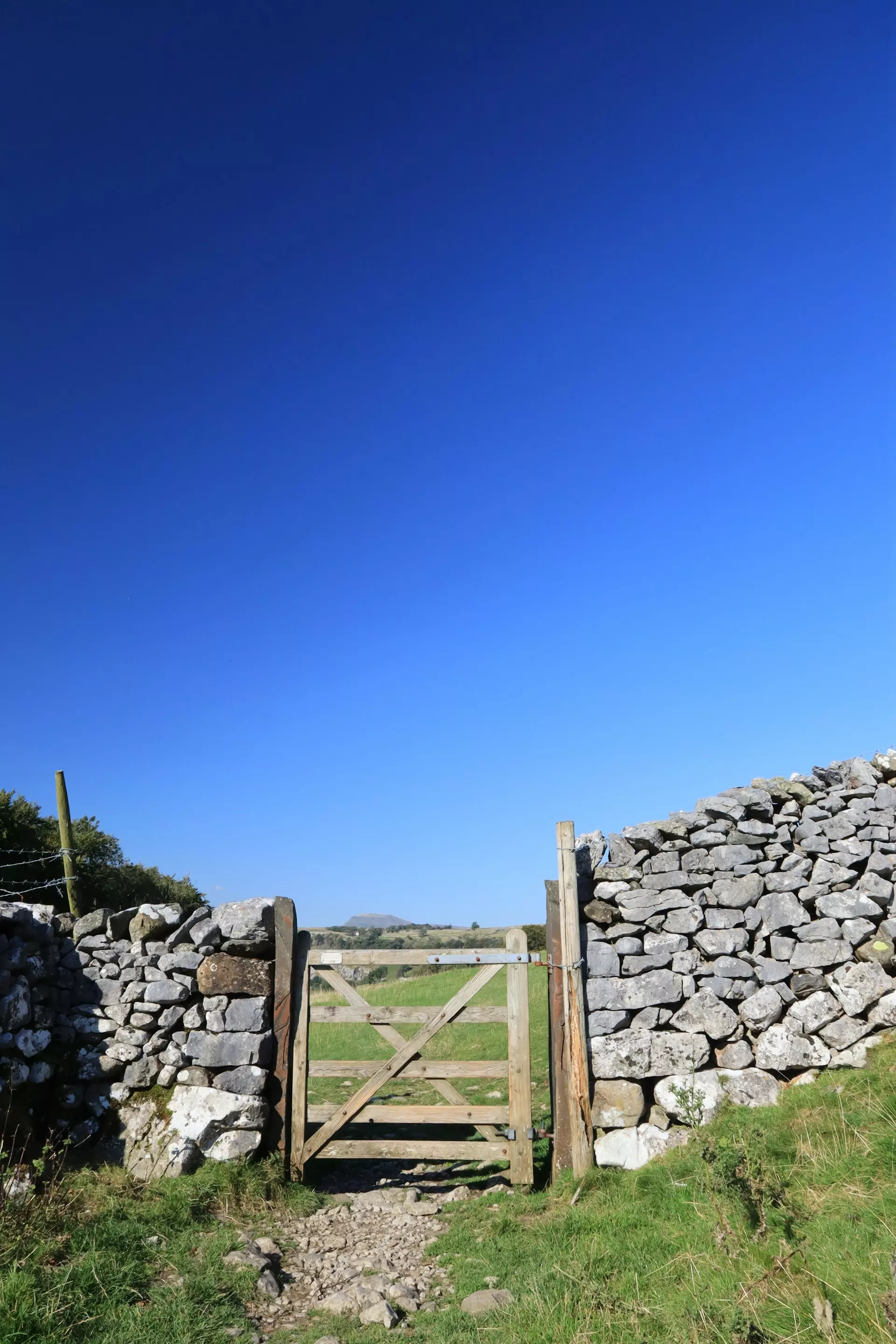 kevin linch 6pdG81A107E unsplash.jpg