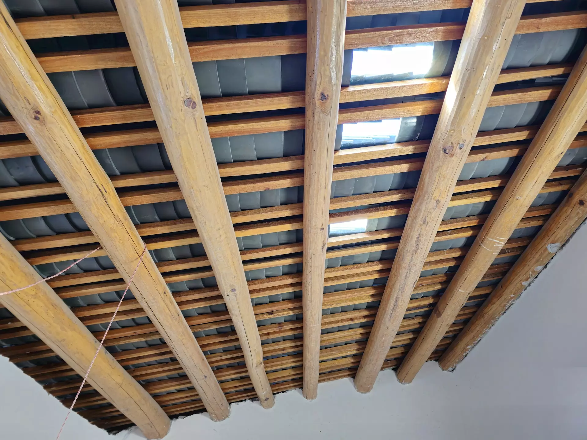 kitty a mptEu49OwbA unsplash.jpg