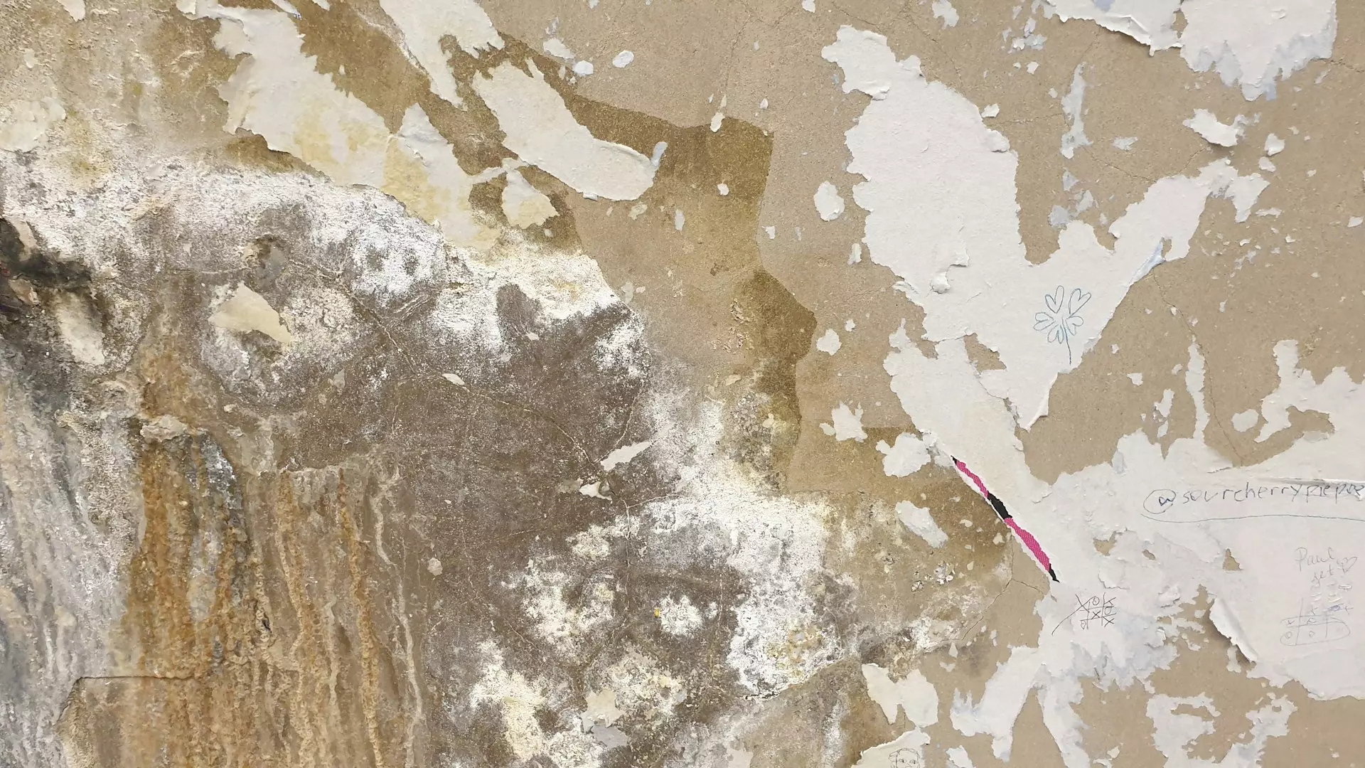 krakograff textures MQ8upYO3QvM unsplash.jpg