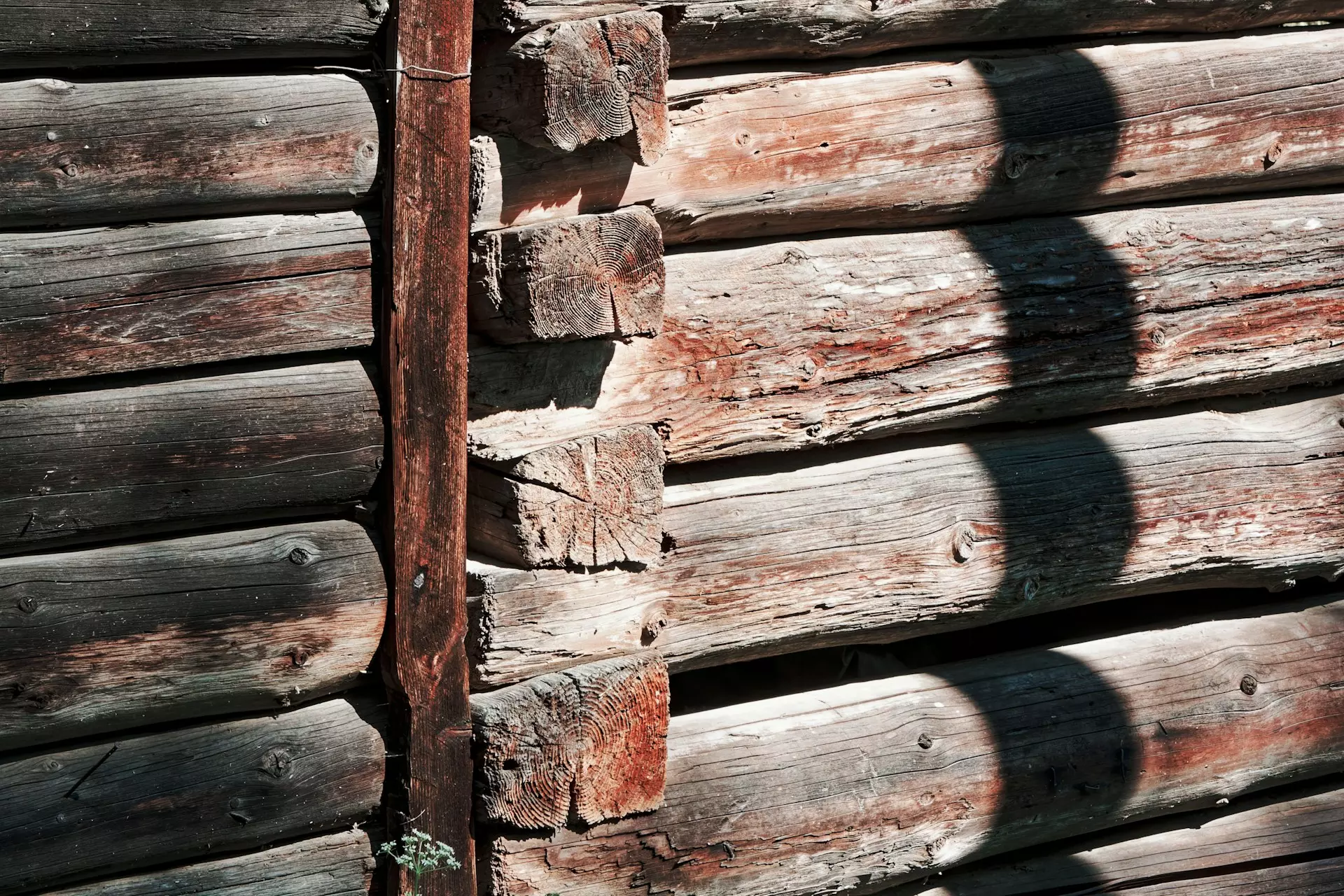 miro polca o8 aWeRmMnE unsplash.jpg