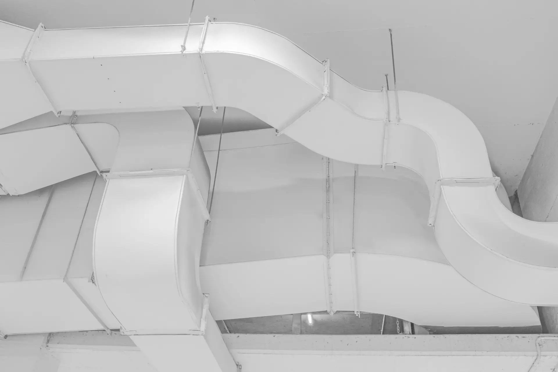 mitchell luo RAliDqgJKbE unsplash.jpg