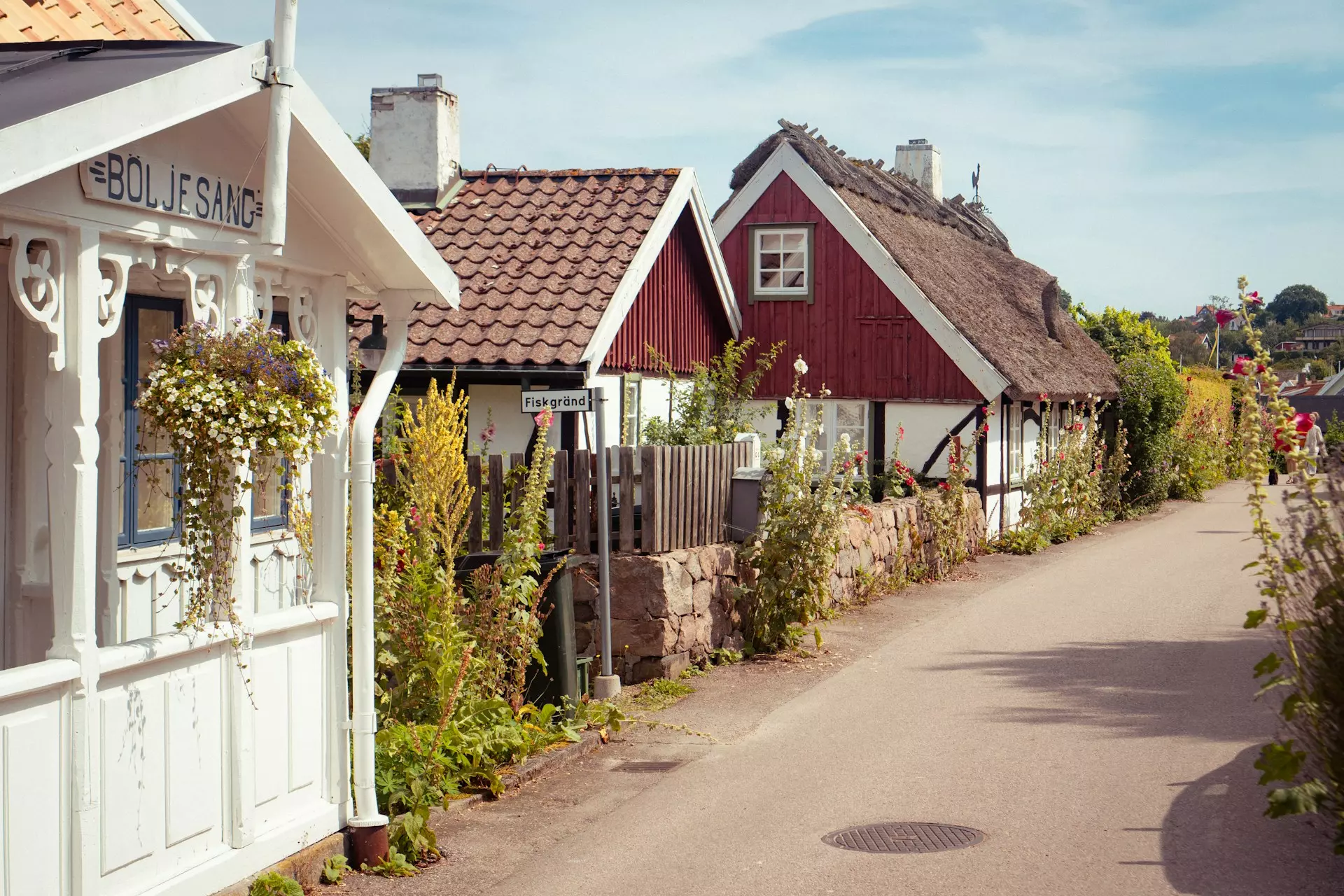 patrick federi d2SYF91qNmk unsplash.jpg