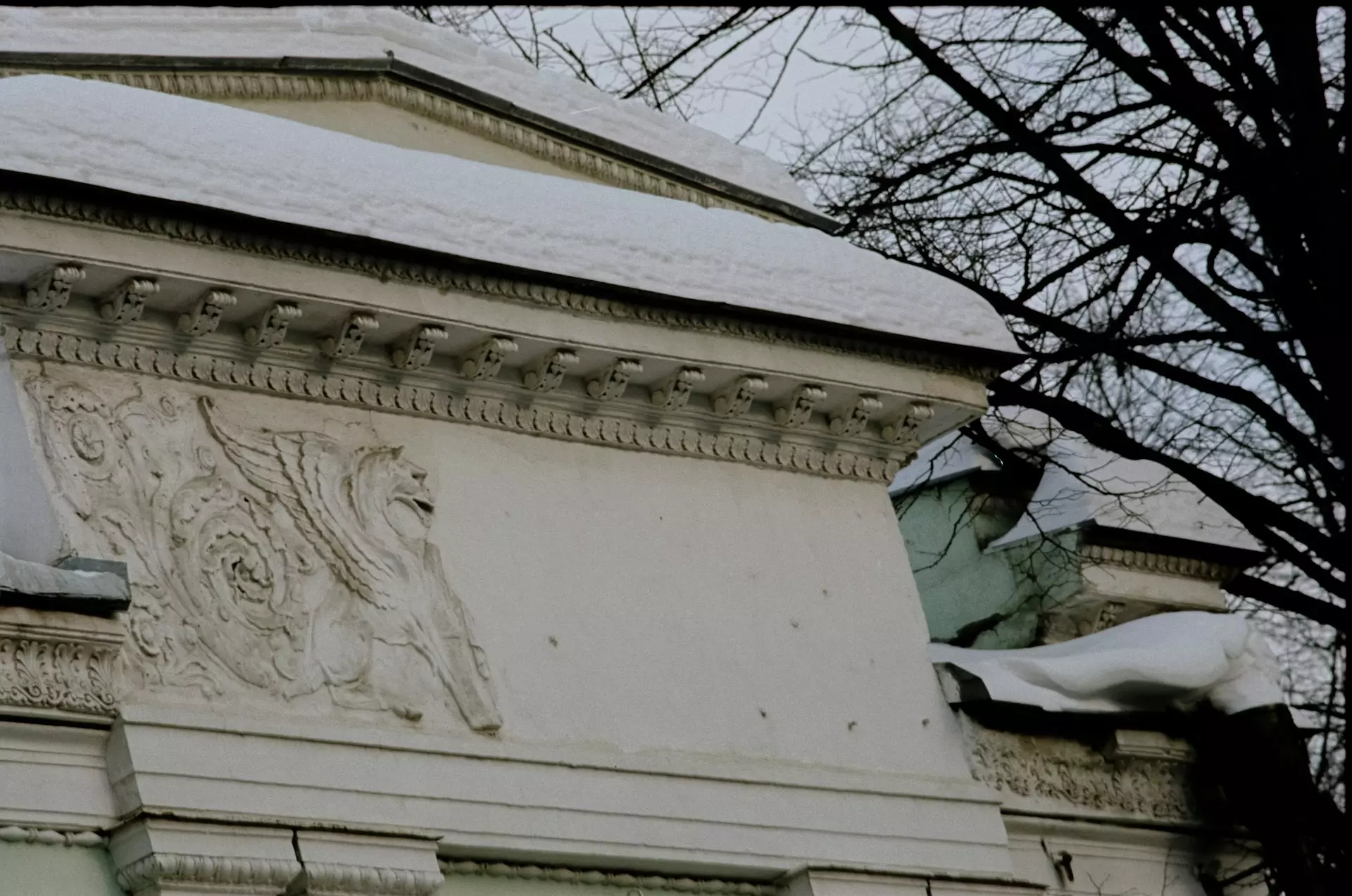 pavel boltov kEufmIhvVeM unsplash.jpg