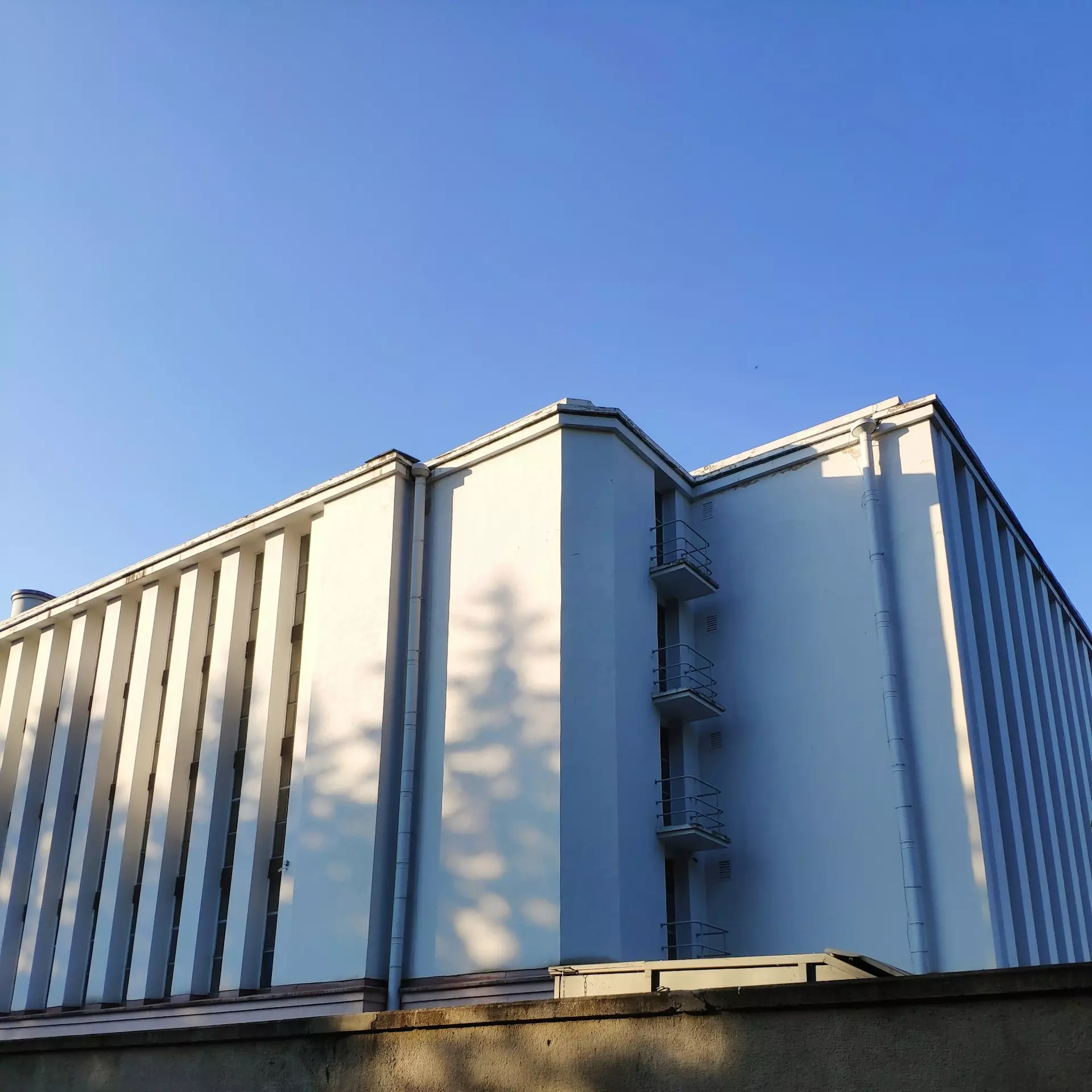 pavel s m3g5iB395cE unsplash.jpg