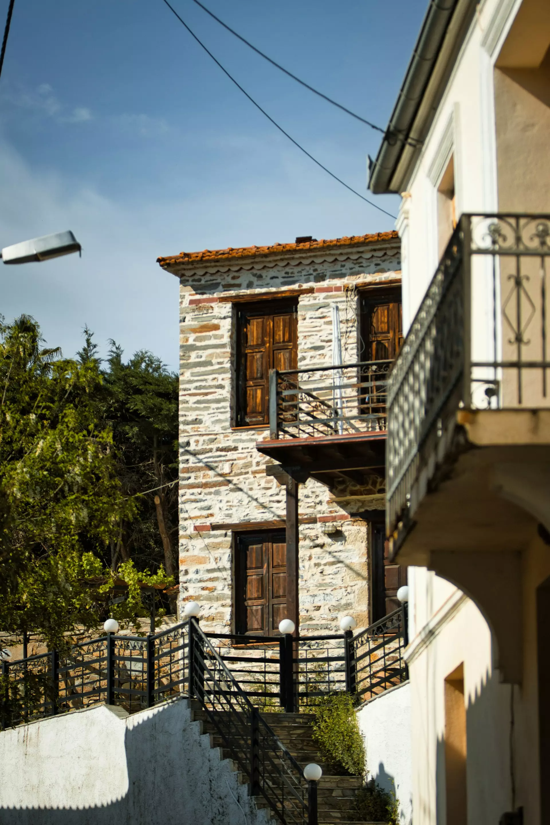 paws and prints 3 VPGwPmgYw unsplash.jpg