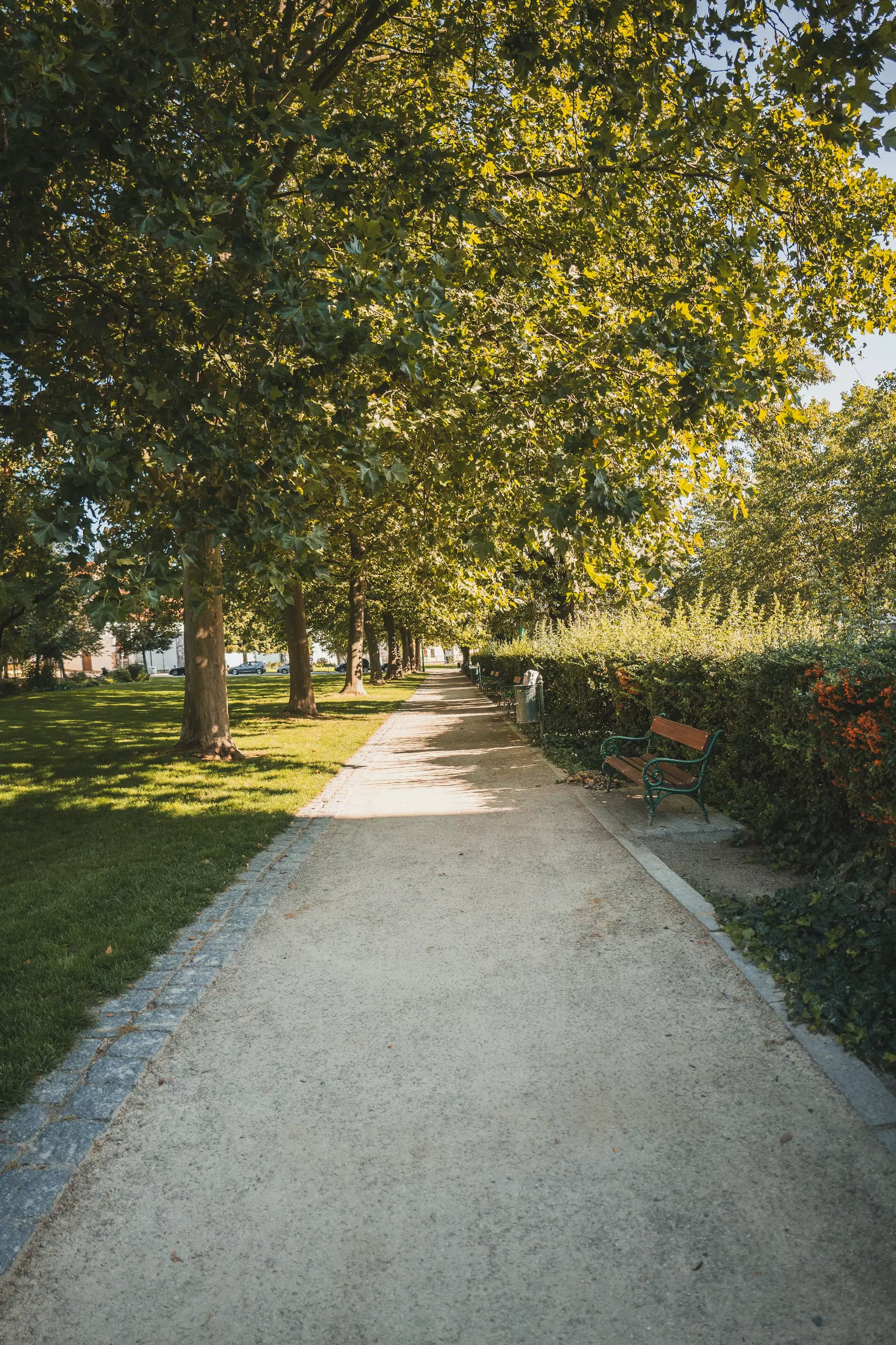 petr palocko 0LBPpSqWJKY unsplash.jpg