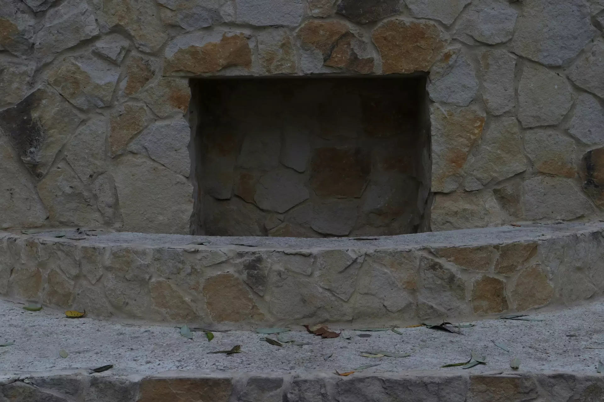 r g wVIjfWfevWo unsplash.jpg