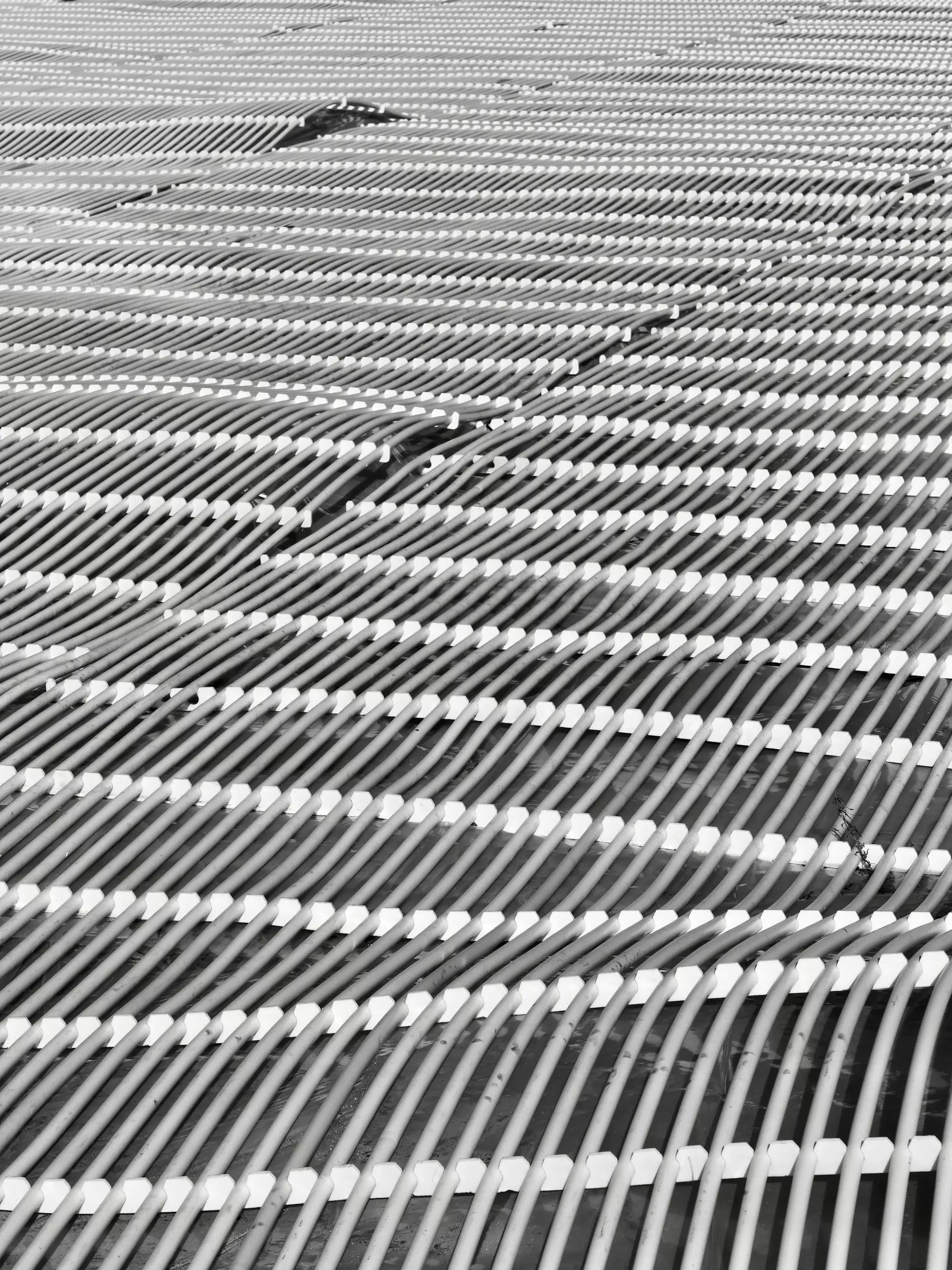 sebastian schuster E u9fGSXCZM unsplash.jpg