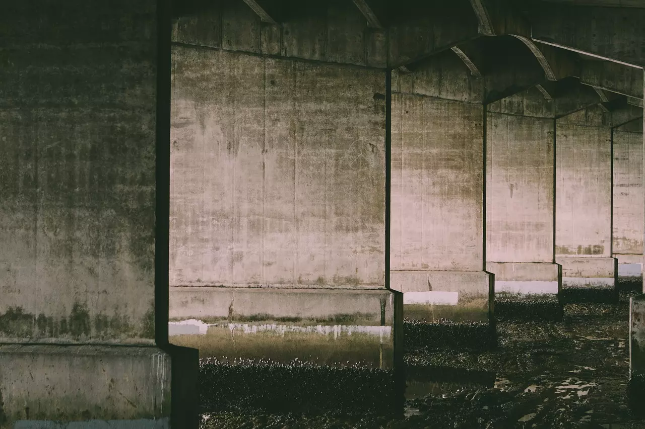 squirrel photos bridge 4952836 1280.jpg