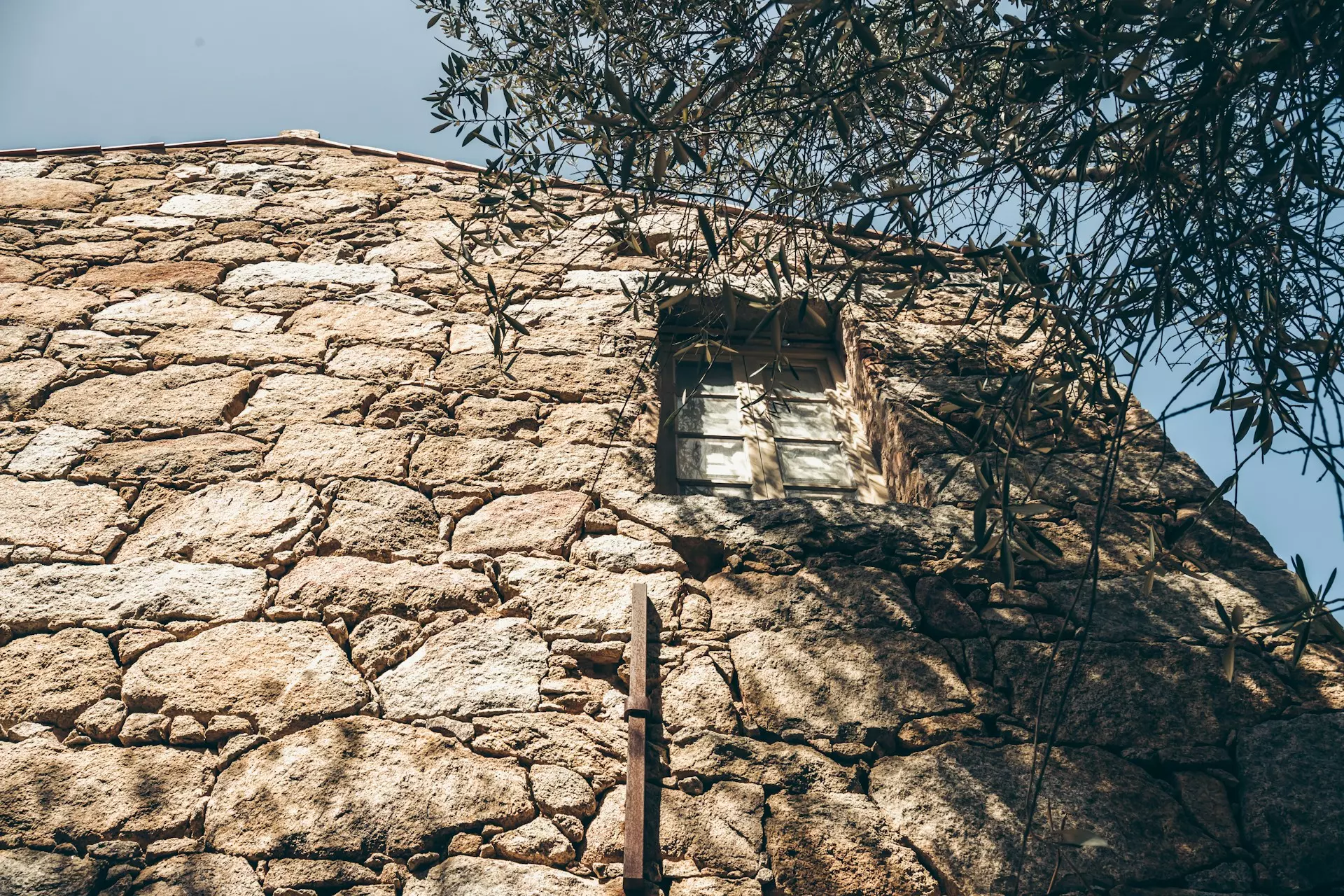 tadeja pavsic QvufxQIFmwc unsplash.jpg