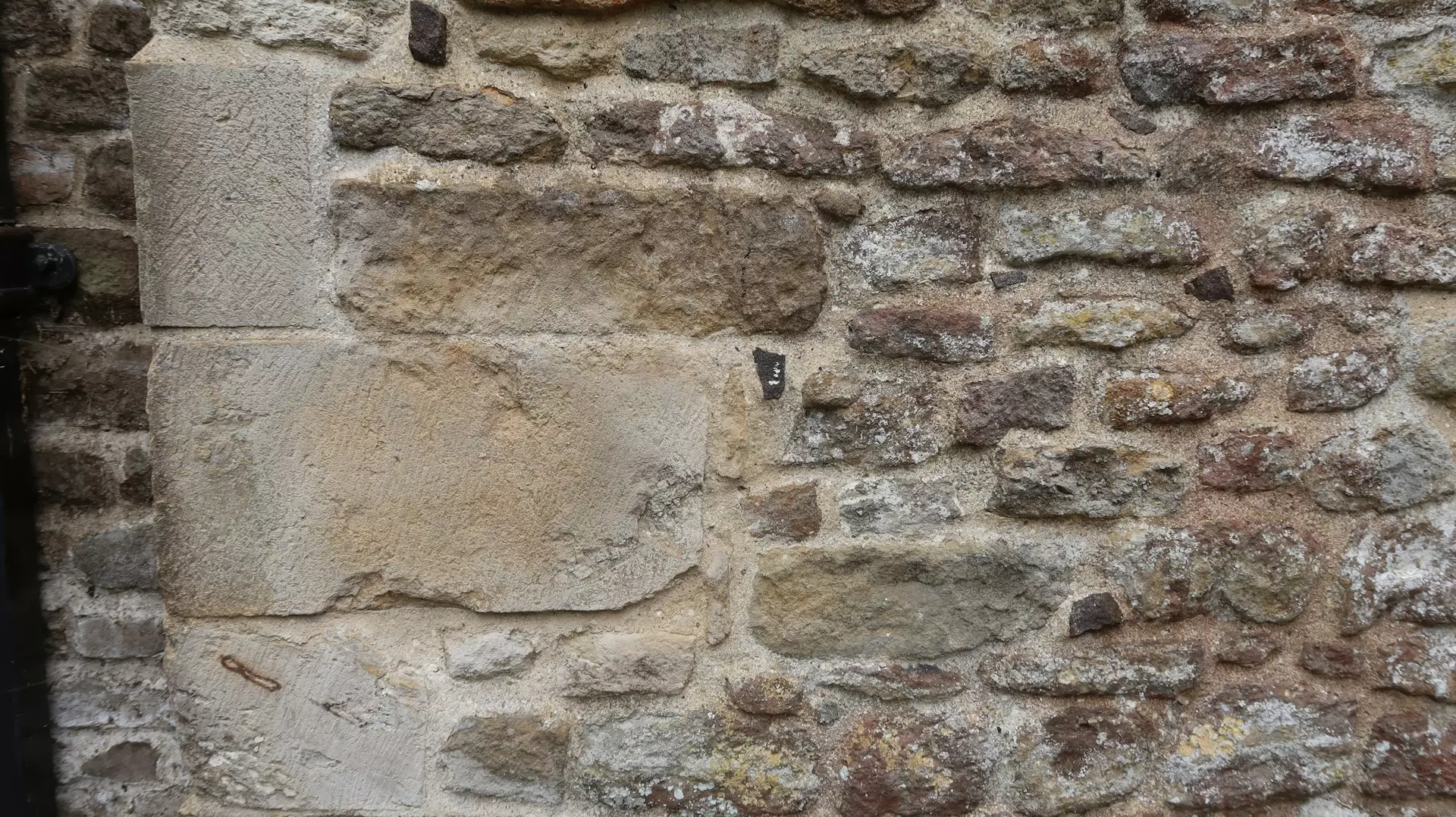 tanya barrow Db5UhN xGlA unsplash.jpg