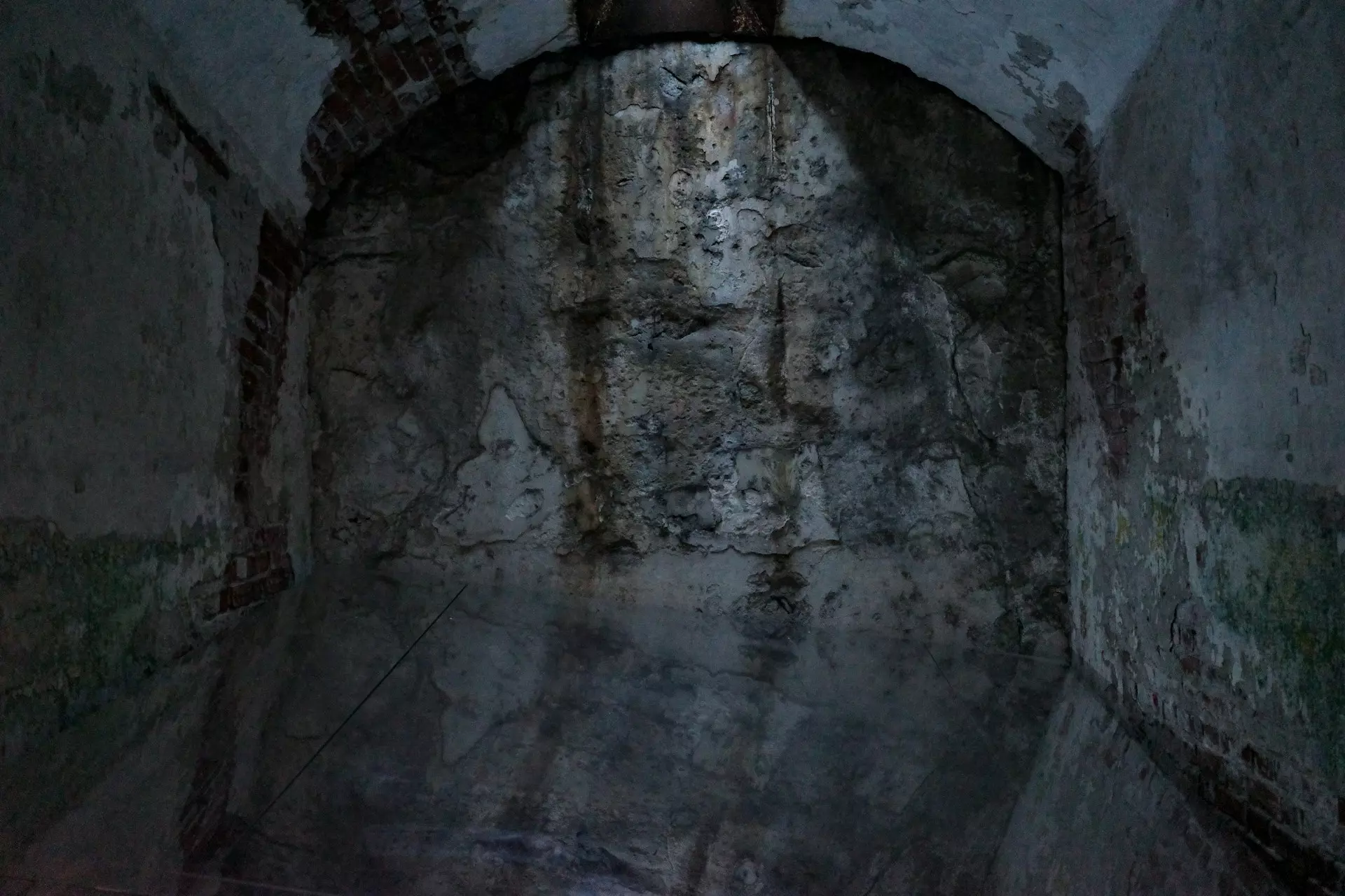 tomas robertson nJQSuj28NnA unsplash.jpg