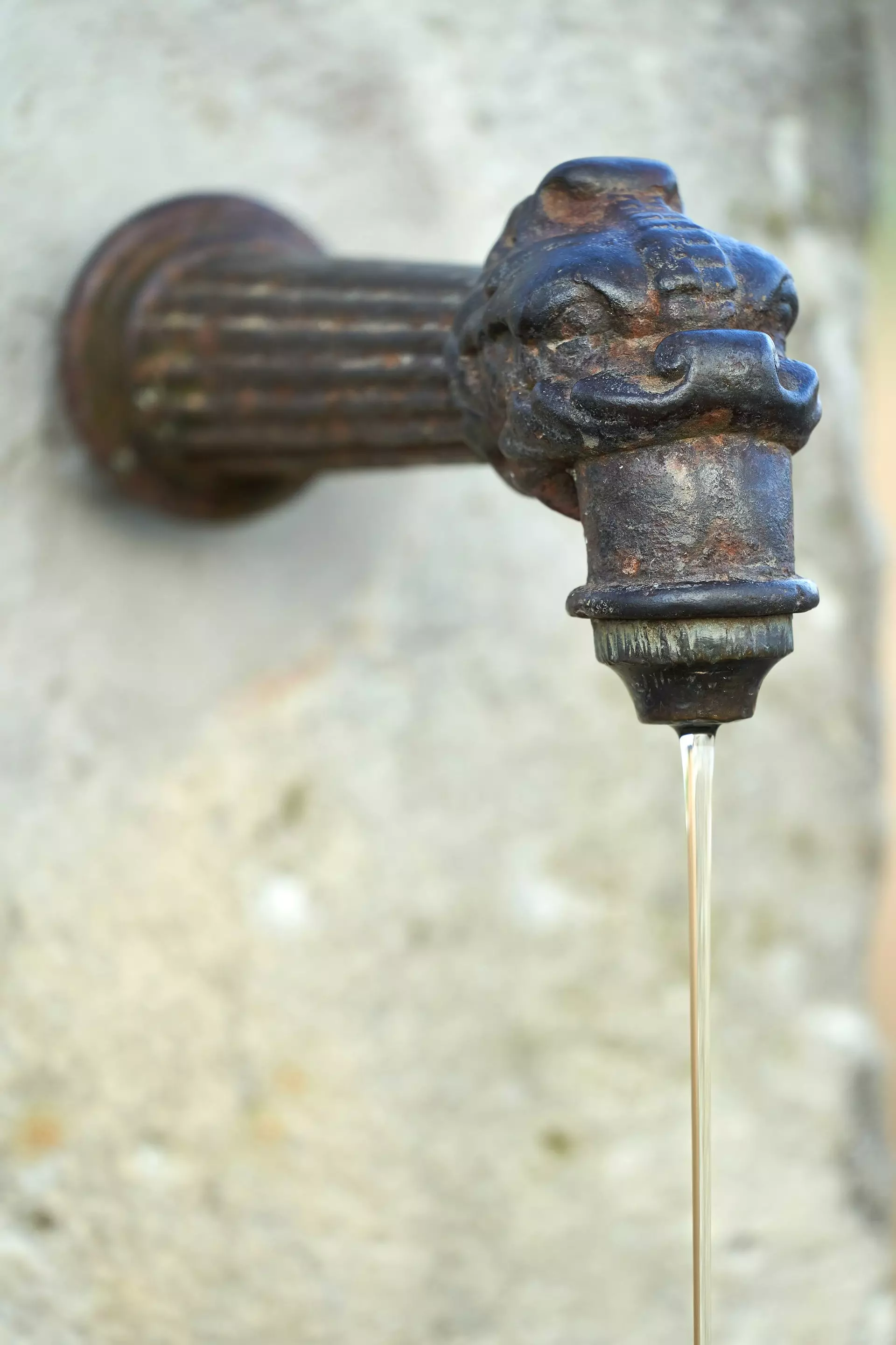 wolfgang hasselmann HGNL8sKmPH4 unsplash.jpg