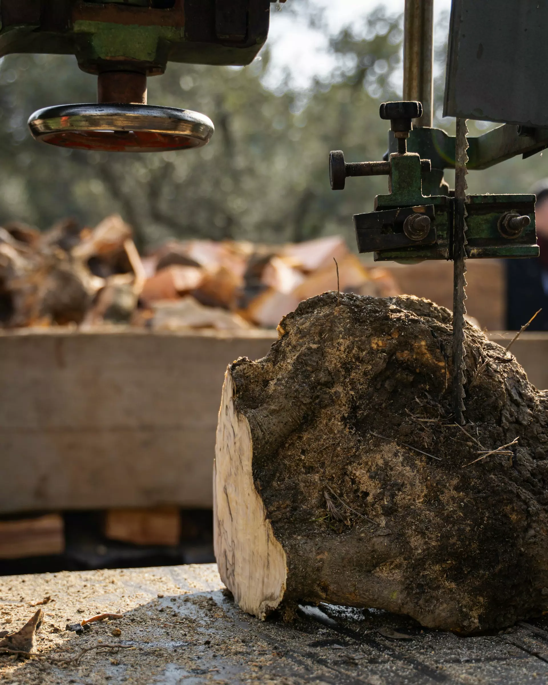 yasin onus zGuMEmo9IKQ unsplash.jpg